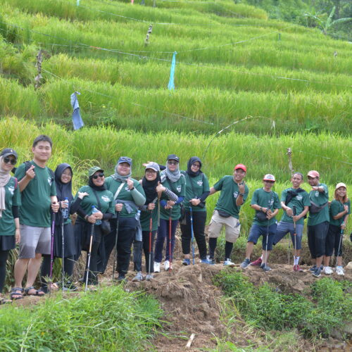 trekking package
