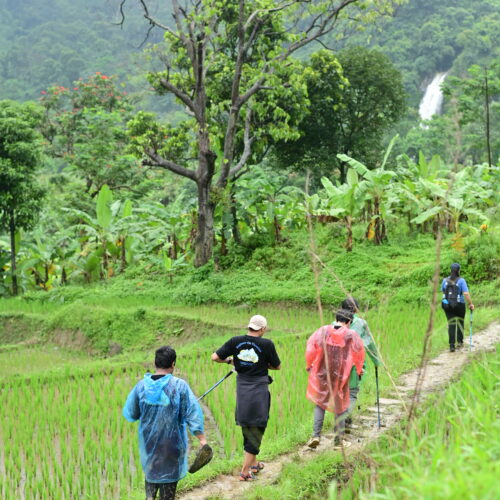 trekking package