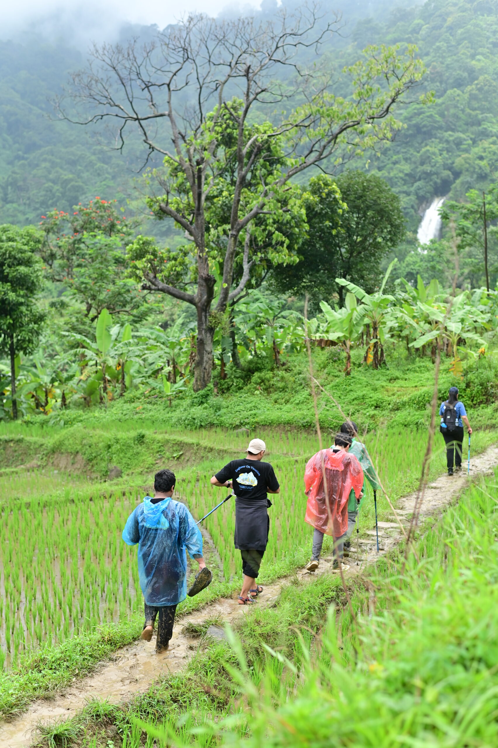 trekking package
